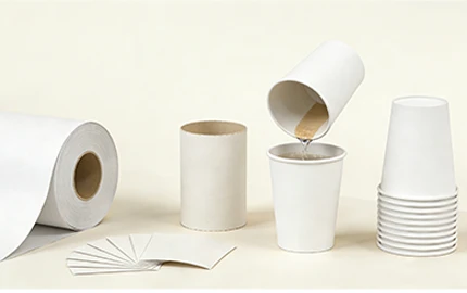 paper cup forming